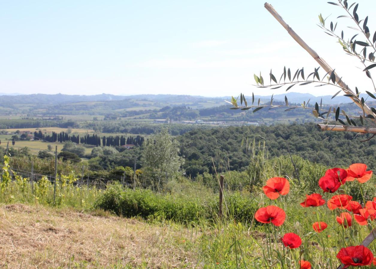 Tuscany Life 테리치올라 외부 사진